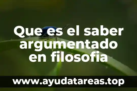 Quieres saber que es una estrella 6 Que es el saber argumentado en filosofia