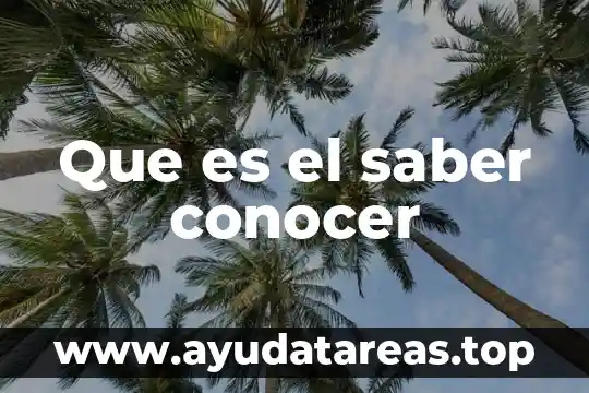 Que es el saber conocer