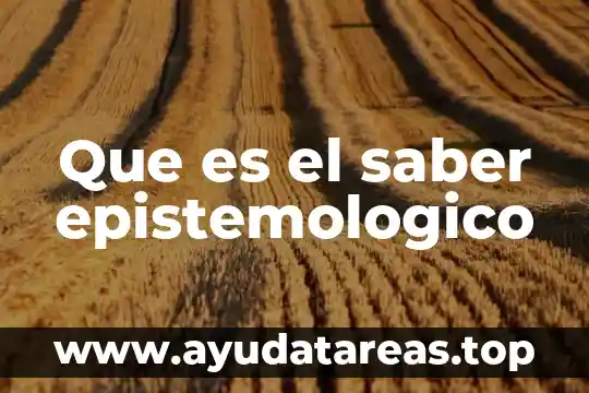 Que es el saber epistemologico