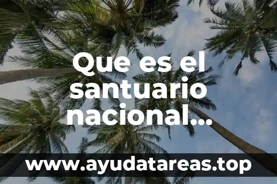 Que es un prebiotico en la calidad del agua 3 Que es el santuario nacional manglares de tumbes