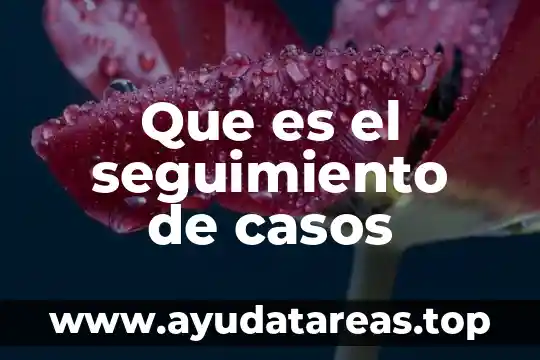 Que es el seguimiento de casos