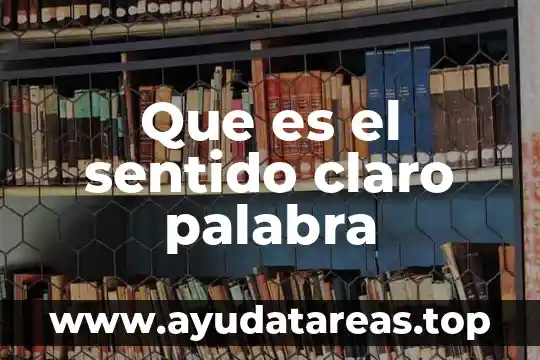 Qué es ser en el doble sentido tijeras 3 Que es el sentido claro palabra
