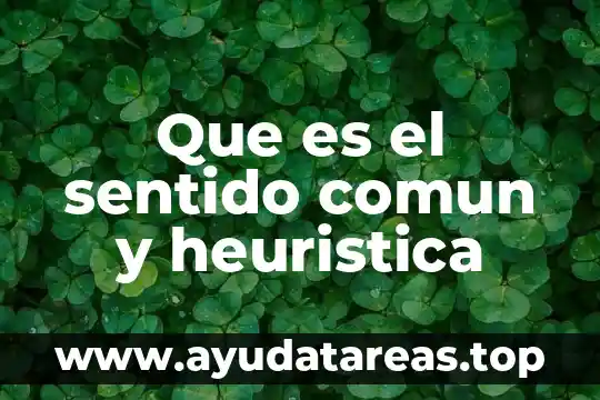 Qué es ser en el doble sentido tijeras 7 Que es el sentido comun y heuristica
