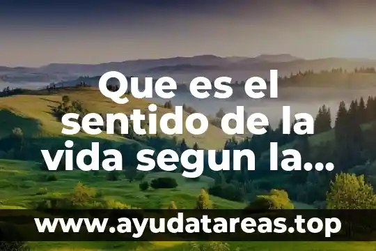 Qué es ser en el doble sentido tijeras 4 Que es el sentido de la vida segun la metafisica