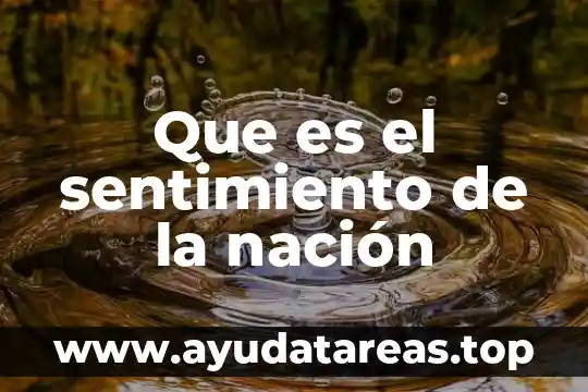 Que es una nacion independiente significado de la doctrina 5 Que es el sentimiento de la nación