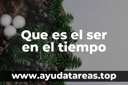 Que es ser respetable 5 Que es el ser en el tiempo