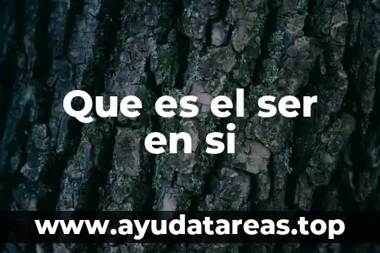 Que es el ser en si