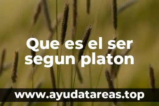Que es el ser segun platon