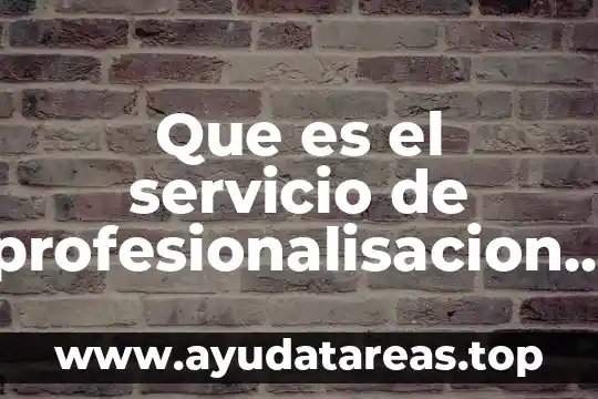 Que es el servicio de profesionalisacion del sector publico municipal