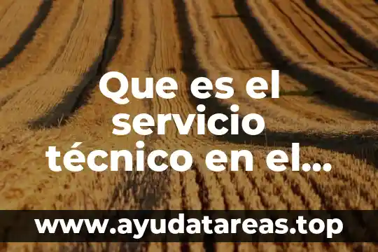 Que es el servicio técnico en el hospital
