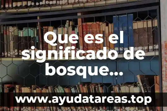 Qué es emerge significado 4 Que es el significado de bosque cordillera