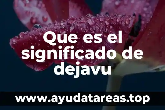 Que es sauerkraut significado 8 Que es el significado de dejavu