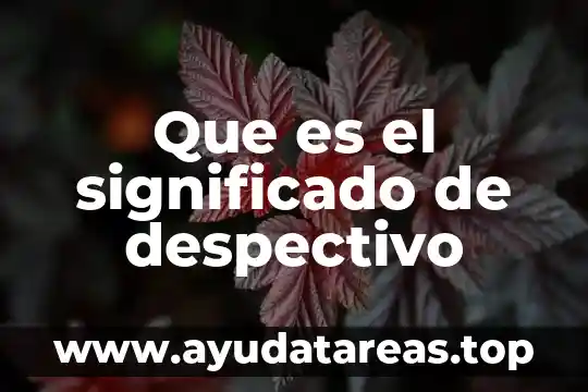 Que es flagrancia significado 3 Que es el significado de despectivo