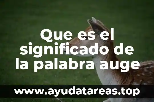 Que es el significado de la palabra guiso 8 Que es el significado de la palabra auge