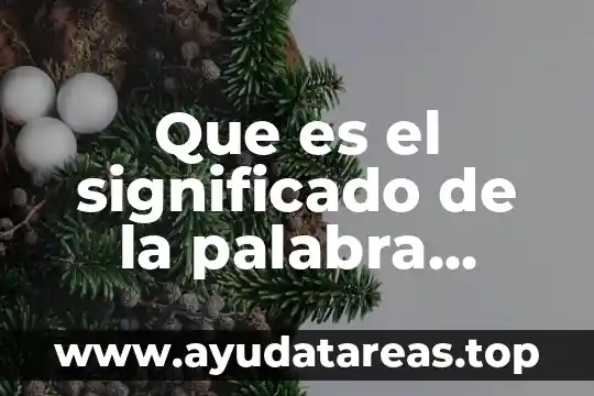 Que es el significado de la palabra auge 8 Que es el significado de la palabra guiso