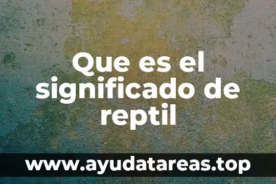 Que es vihuela significado 4 Que es el significado de reptil