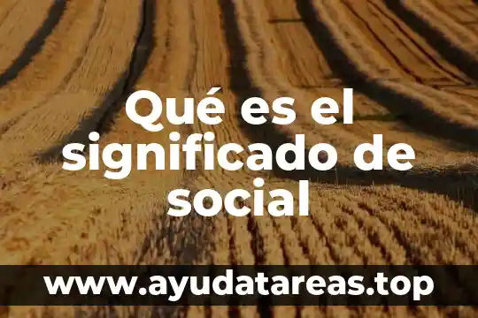 Que es a cabo significado 5 Qué es el significado de social