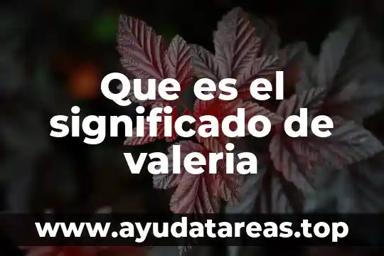 Que es flagrancia significado 4 Que es el significado de valeria