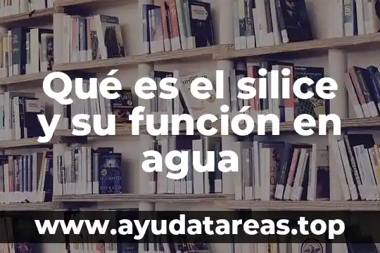 Qué es el silice y su función en agua