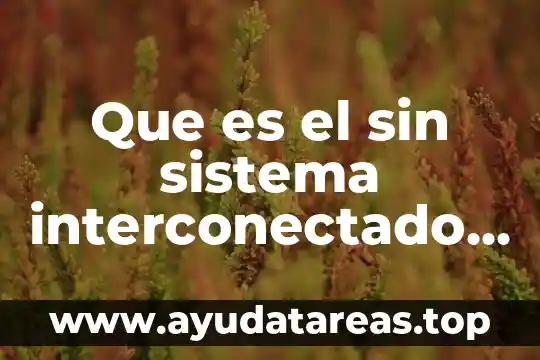 Que es la pokedex nacional 8 Que es el sin sistema interconectado nacional