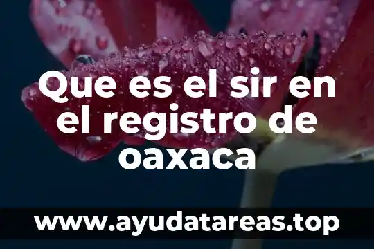 Que es el sir en el registro de oaxaca