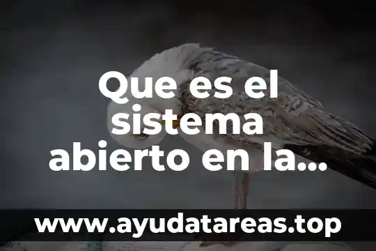 Que es ser mezquino yahoo 4 Que es el sistema abierto en la educacion