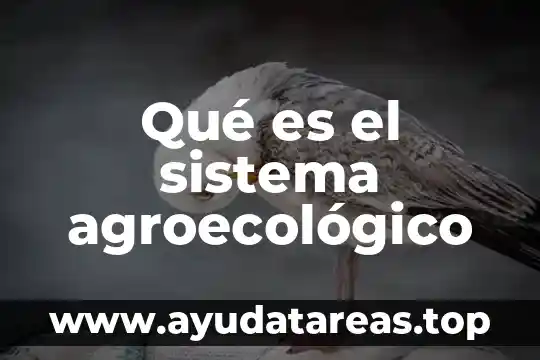 Qué es el sistema agroecológico