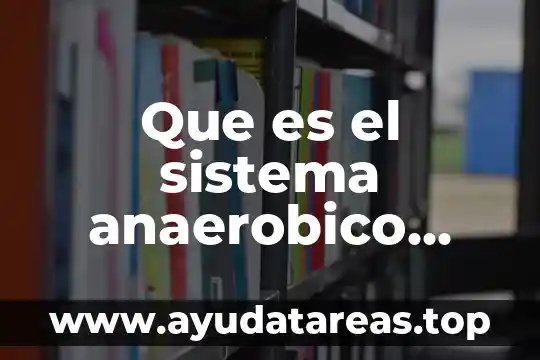 Que es el sistema anaerobico lactico