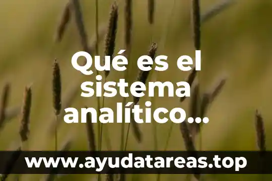 Qué es el sistema analítico contable