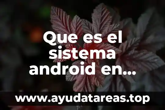 Que es el sistema android en roku