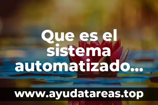 Qué es el sistema tarifario y de valor aduanero 8 Que es el sistema automatizado aduanero
