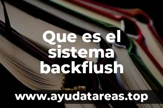 Que es un sistema opearativo 4 Que es el sistema backflush