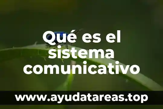 Que es un cohete casero de agua 7 Qué es el sistema comunicativo