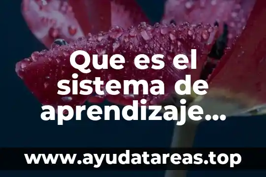 Que es el sistema de aprendizaje kinestesico