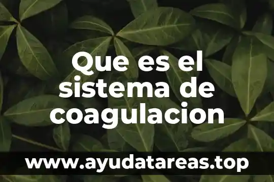Qué es coagulación en examen química 3 Que es el sistema de coagulacion