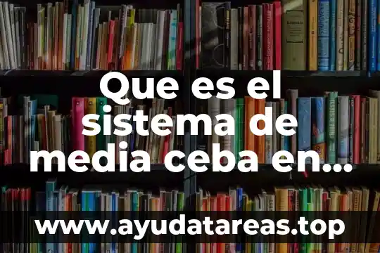 Que es el sistema de media ceba en bovinos