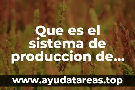 Que es la carrera de produccion animal 8 Que es el sistema de produccion de energia electrica