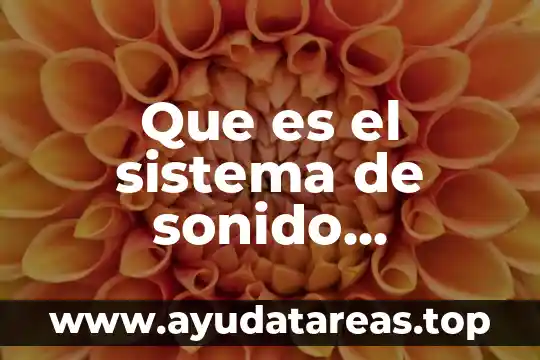 Que es movimiento sonido forma y color 7 Que es el sistema de sonido arkamys