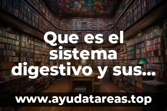 Que es el sistema digestivo y sus organos