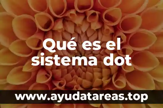 Qué es el sistema dot