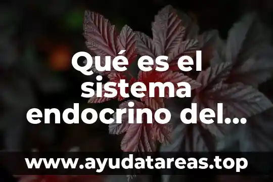 Que es un ser humano que tipo de pregunta es 5 Qué es el sistema endocrino del cuerpo humano