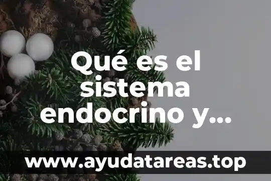 Que es un sistema celula 3 Qué es el sistema endocrino y cómo está compuesto