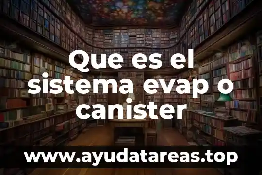 Que es el sistema evap o canister