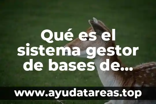 Que es el ciclo del agua y sus bases 8 Qué es el sistema gestor de bases de datos sqlite