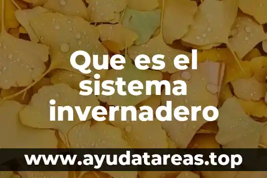 Que es el efecto invernadero segun la onu 8 Que es el sistema invernadero