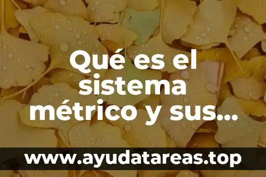 Qué es el sistema métrico y sus características
