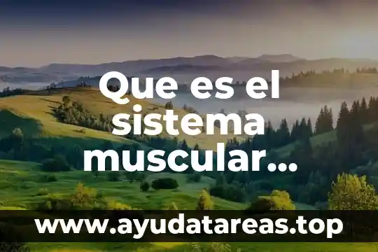 Que es el sistema muscular funciones