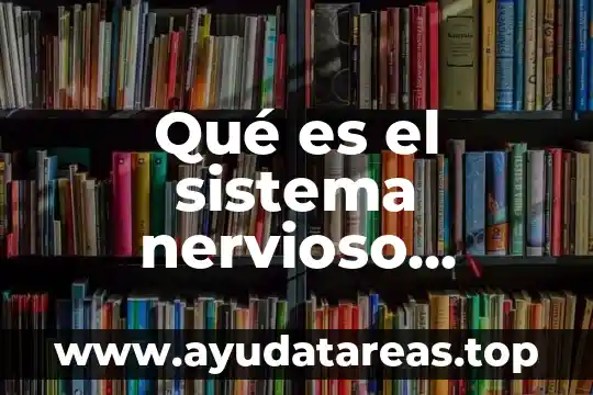 Sistema nervioso central que es el ciclo circadiano 5 Qué es el sistema nervioso enterico