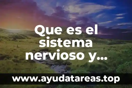 Que es un bloque de construccion del sistema nervioso 4 Que es el sistema nervioso y como esta compuesto