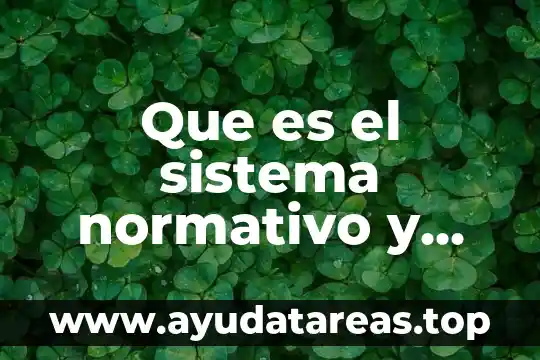 Que es el sistema normativo y cual es su importancia